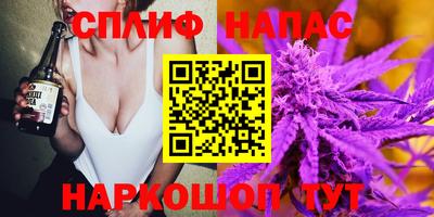 mdpv Белореченск