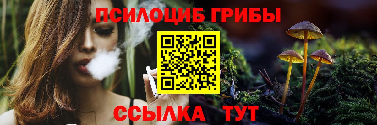 Псилоцибиновые грибы прущие грибы  Вход с VPN  Псилоцибиновые грибы GOLDEN TEACHER  Вязники 